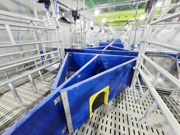 2026 핵심 키워드