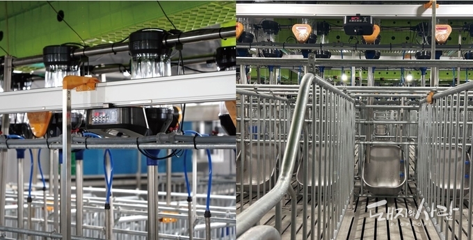 딥스캔과 자동급이