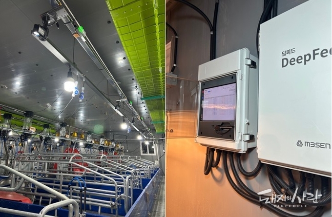 딥아이즈와 딥피드